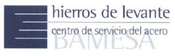 HIERROS DE LEVANTE CENTRO DE SERVICIO DEL ACERO BAMESA