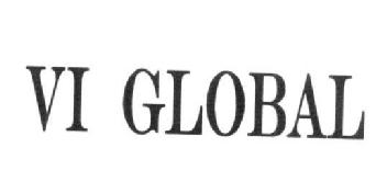 VI GLOBAL