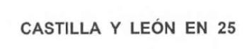 CASTILLA Y LEON EN 25
