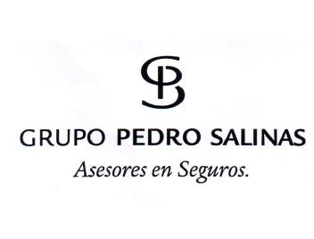 GRUPO PEDRO SALINAS ASESORES EN SEGUROS