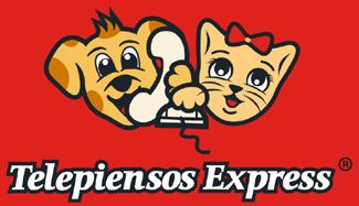 TELEPIENSOS EXPRESS
