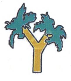 Y