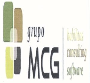 GRUPO MCG HABILITAS CONSULTING SOFTWARE