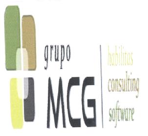 GRUPO MCG HABILITAS CONSULTING SOFTWARE