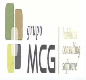 GRUPO MCG HABILITAS CONSULTING SOFTWARE