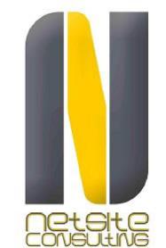 N NETSITE CONSULTING