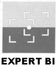 EXPERT BI