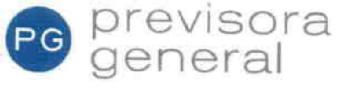 PG PREVISORA GENERAL