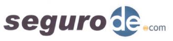 SEGURODE.COM
