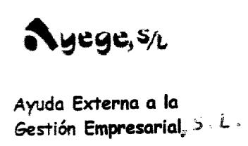 AYEGE, S/L AYUDA EXTERNA A LA GESTION EMPRESARIAL, S.L