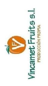 VF VINCAMET FRUITS S.L. PRODUCCION PROPIA
