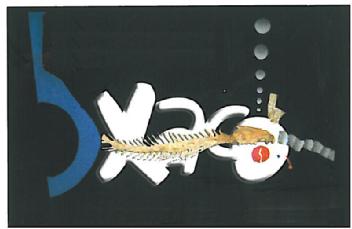 XACO