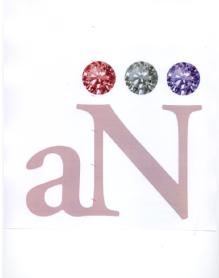 AN