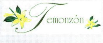 TEMONZON