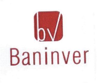 BV BANINVER