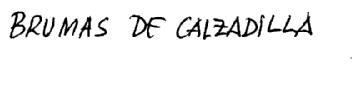 BRUMAS DE CALZADILLA