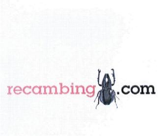 RECAMBING.COM
