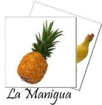 LA MANIGUA