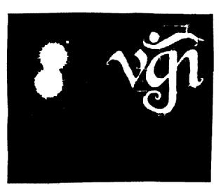 VGÑ