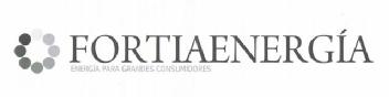 FORTIAENERGIA ENERGIA PARA GRANDES CONSUMIDORES