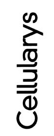 CELLULARYS