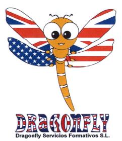 DRAGONFLY DRAGONFLY SERVICIOS FORMATIVOS S.L