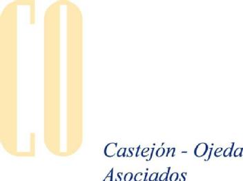 CO CASTEJON-OJEDA ASOCIADOS
