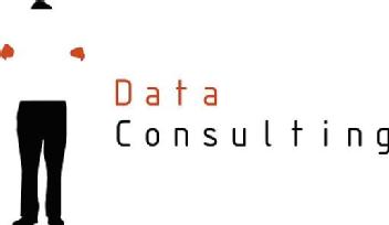 DATA CONSULTING