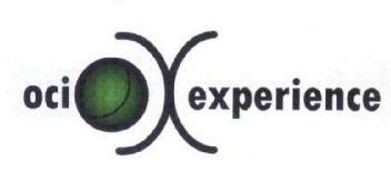 OCIO EXPERIENCE