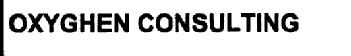 OXYGHEN CONSULTING