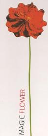 MAGIC FLOWER