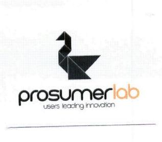PROSUMERLAB USERS LEADING INNOVATION