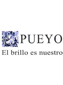 PUEYO EL BRILLO ES NUESTRO