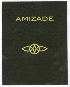 AMIZADE