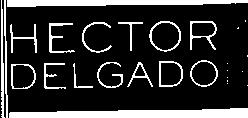HECTOR DELGADO DESIGN