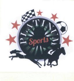 PALTINUM SPORTS