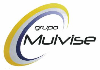 GRUPO MULVISE