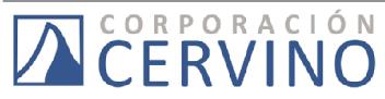CORPORACION CERVINO