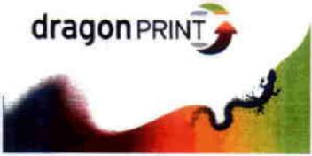 DRAGON PRINT