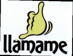 LLAMAME