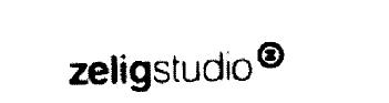 ZELIGSTUDIO
