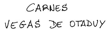 CARNES VEGAS DE OTADUY
