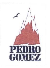 PEDRO GOMEZ