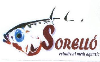 SORELLO ESTUDIS AL MEDI AQUATIC