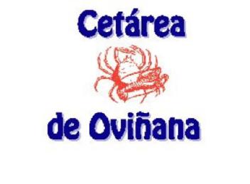CETAREA DE OVIÑANA