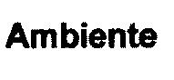 AMBIENTE