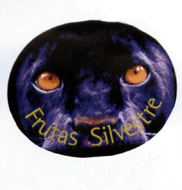 FRUTAS SILVESTRE
