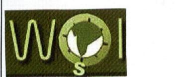 WSI