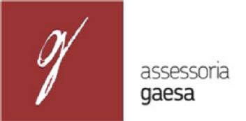 G ASSESSORIA GAESA