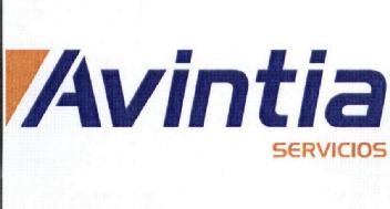 AVINTIA SERVICIOS